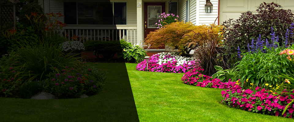 Leonard Landscapers