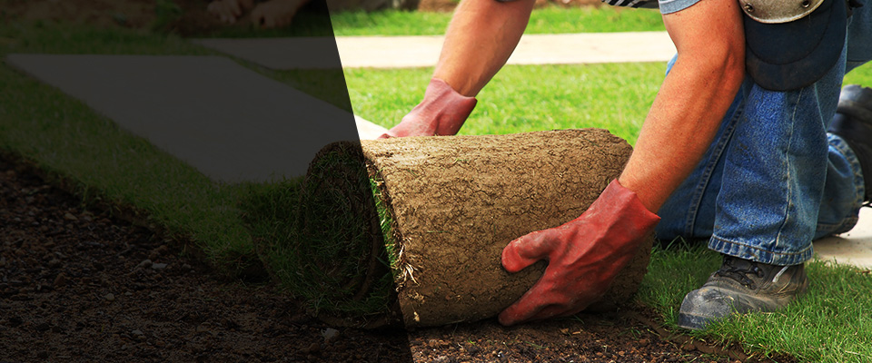 Leonard Landscapers